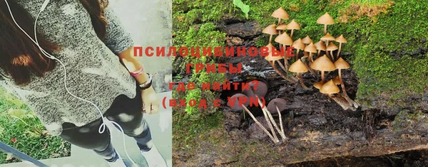 МДМА Арсеньев